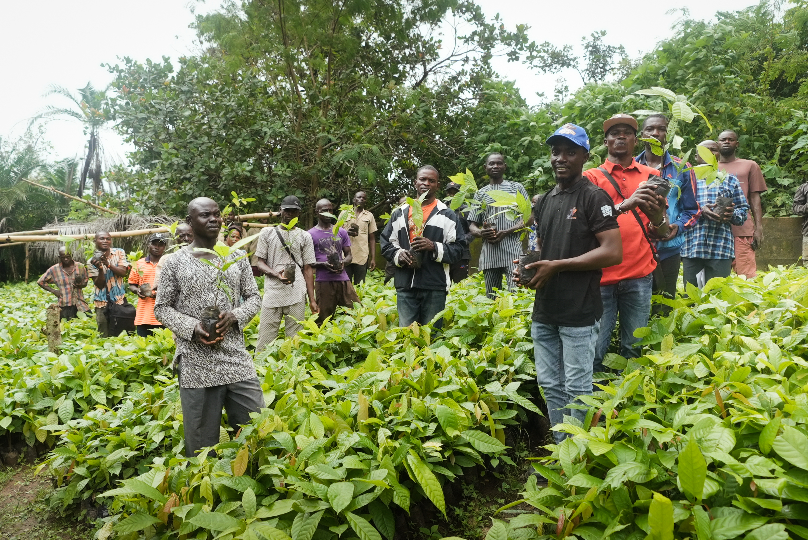 Reinventing cocoa sustainability in Nigeria: An update from Johnvents' Sustainability and Farmers' Empowerment Programme.