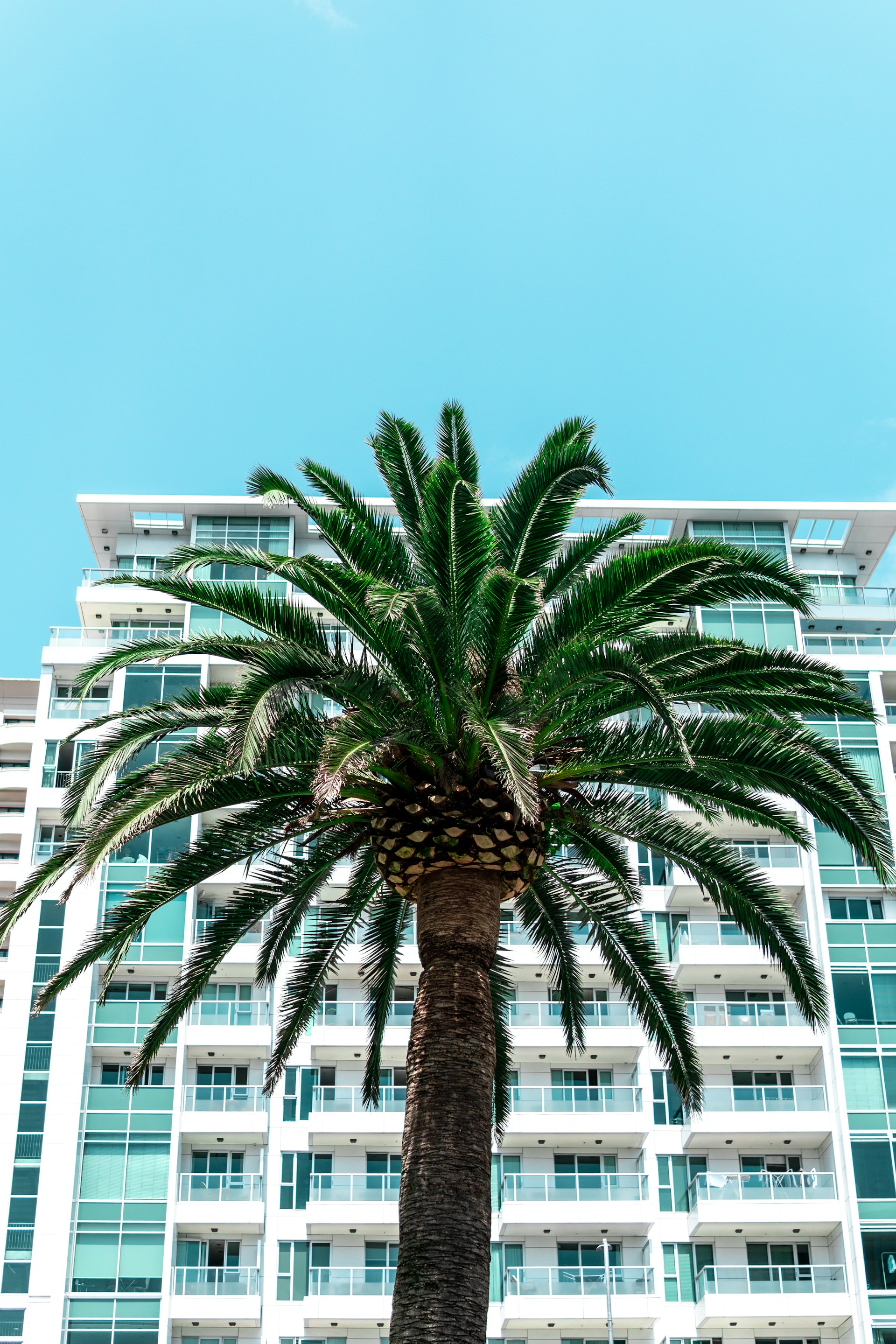 Room Attendant - Auckland