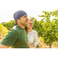Schreiner. Bioweingut.