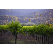 Duckhorn Vineyards