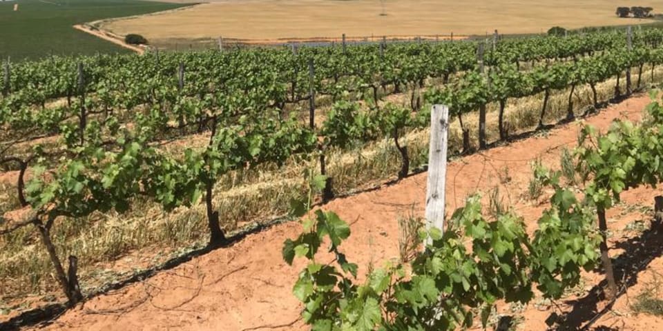 Swartland