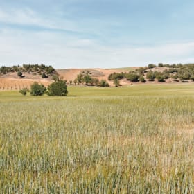 Compañia de Vinos Telmo Rodriguez, S.L.