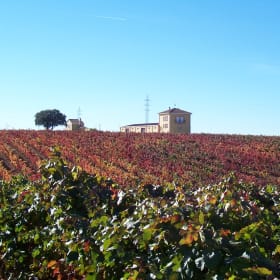 Bodegas Otero - España