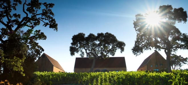 Hope Family Wines