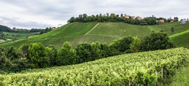 Weingut Tement