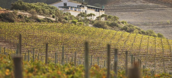 Grand Vin de Stellenbosch
