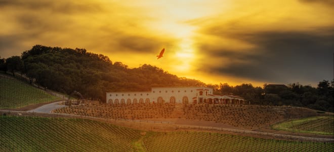 DAOU Family Estates