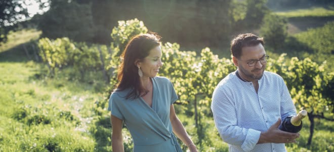 Weingut Stefan Potzinger