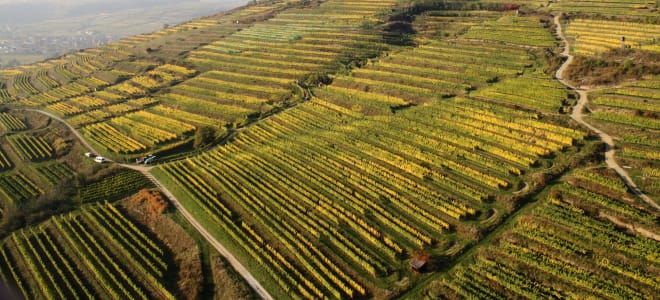 Weingut Bründlmayer