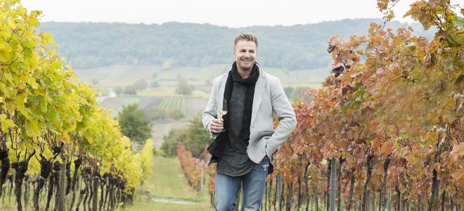 Weingut Leo Hillinger