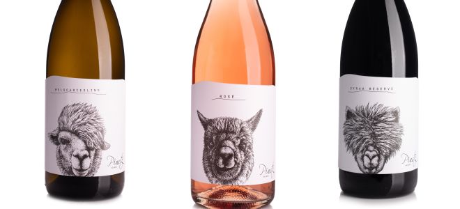 Weingut und Alpakahof Pinetz