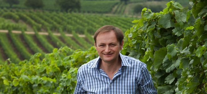 Weingut Herbert Böhm