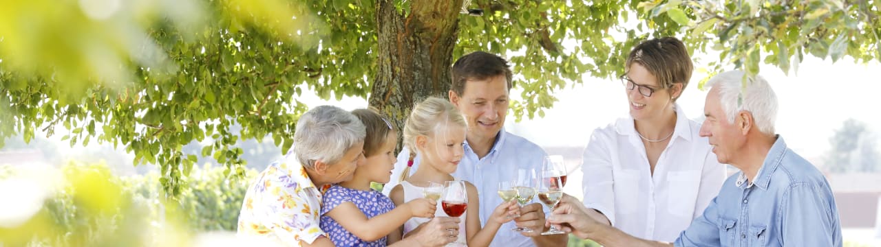 Bio-Weingut Mohr-Gutting