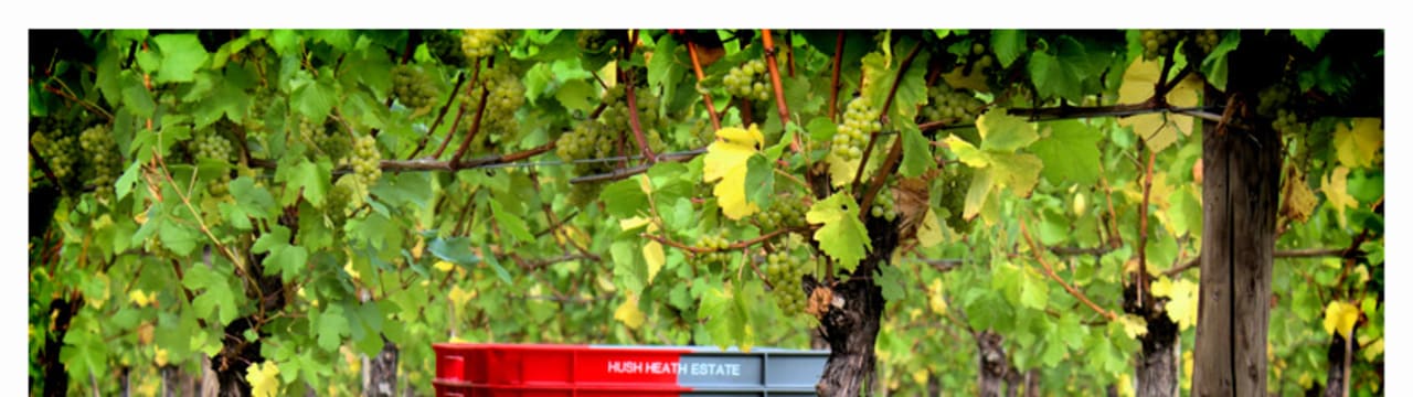 Balfour - Hush Heath Estate