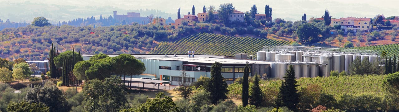Tenute Piccini