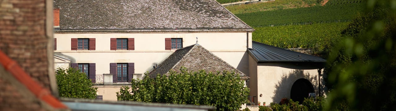 Louis Latour Agencies