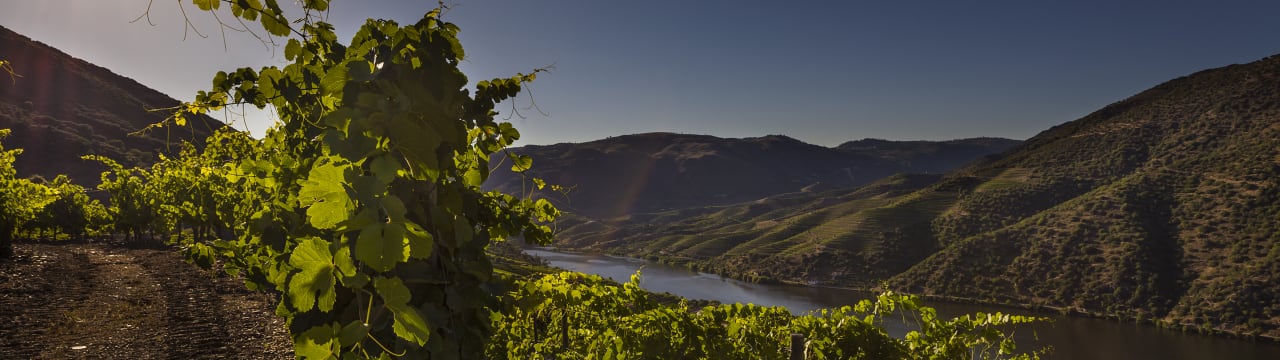 Altano Douro