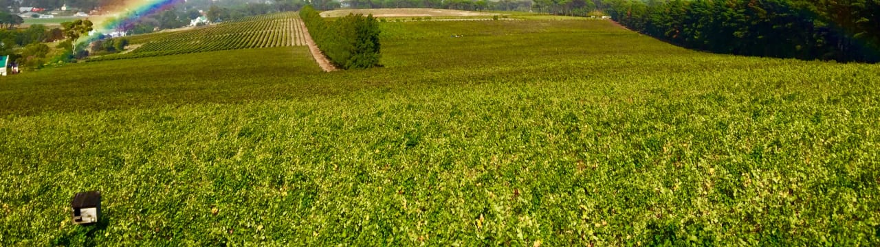 Journeys End Vineyards