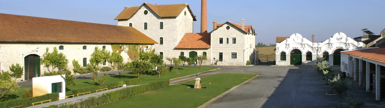 DFJ VINHOS