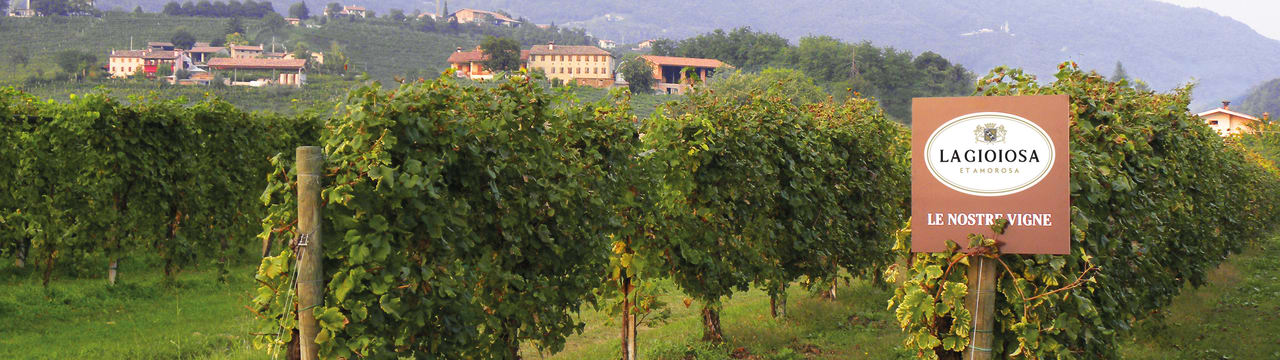 La Gioiosa et Amorosa 