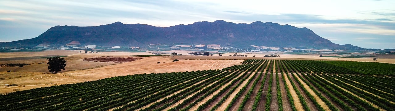 Riebeek Valley Wine Co