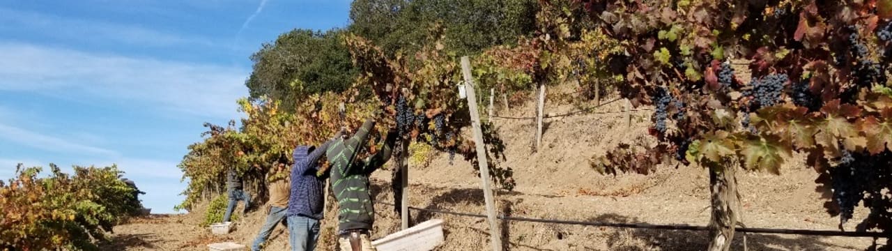 James Hocking Wine Limited