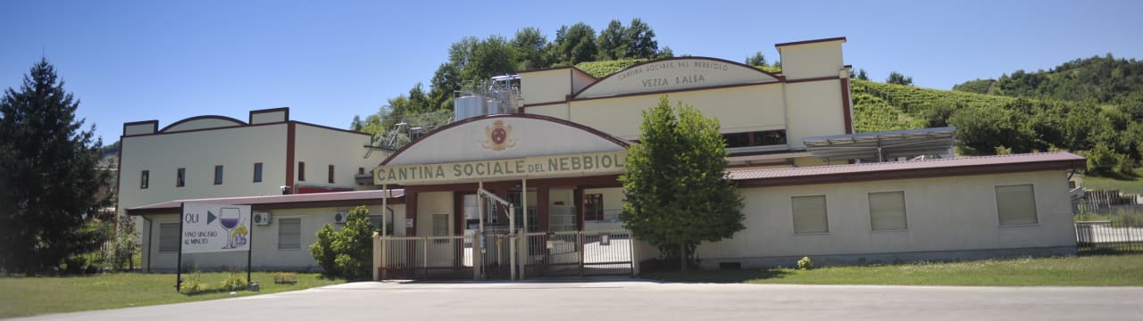 CANTINA DEL NEBBIOLO