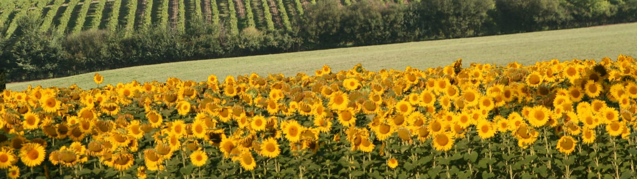 Les Collines de Luzanet