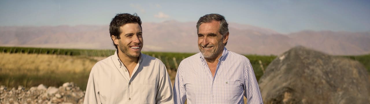 Zuccardi