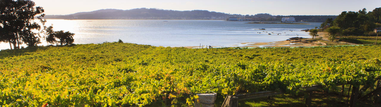 Bodegas Monte Pío