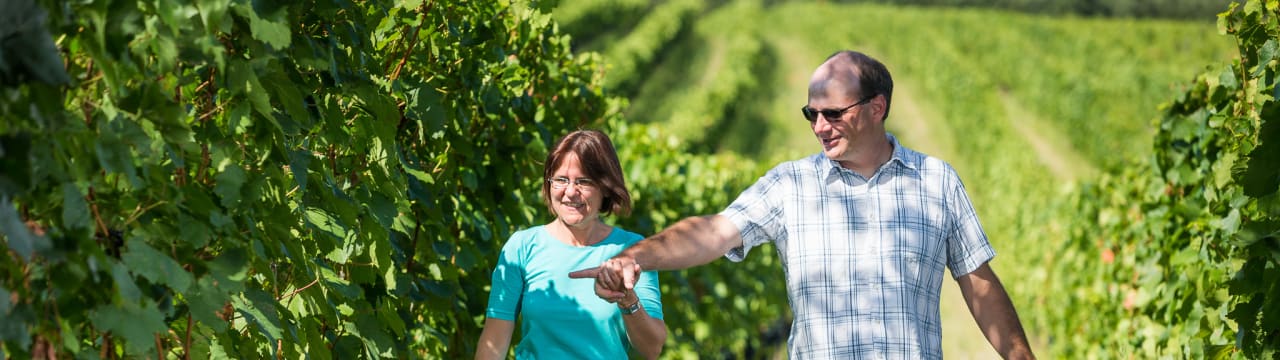 Weingut Grenzhof-Fiedler