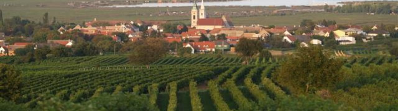 Weingut Landauer