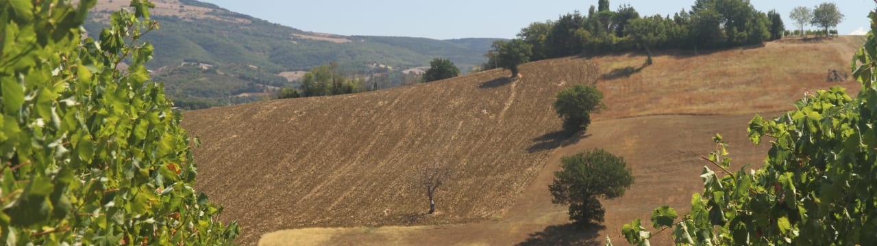 Borgo Paglianetto srl