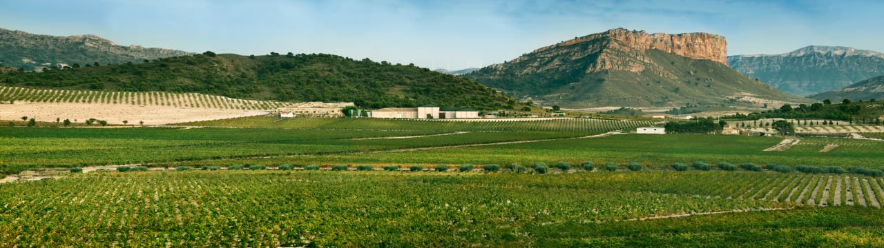 Gil Family Estates S.L. 