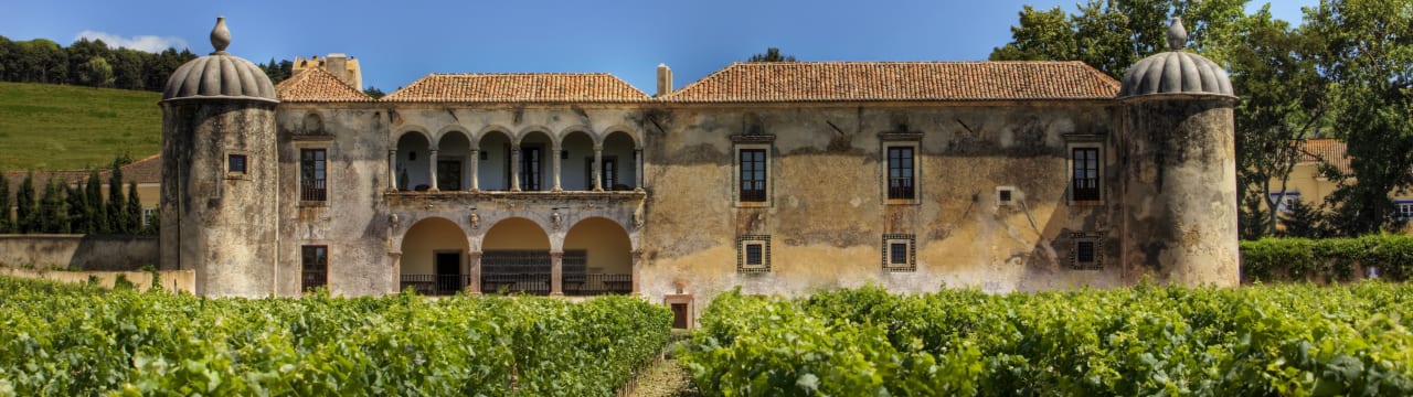 Bacalhôa Vinhos de Portugal