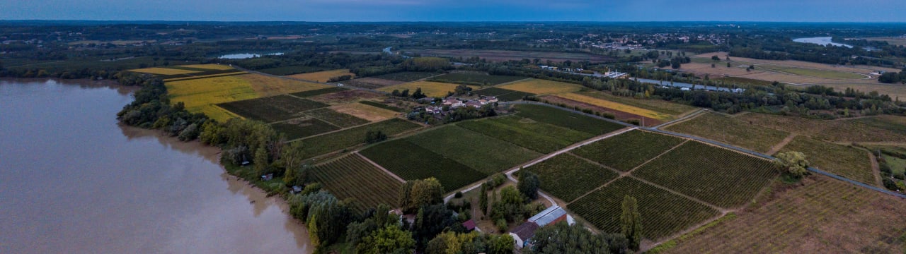 Scea Vignobles Sirat