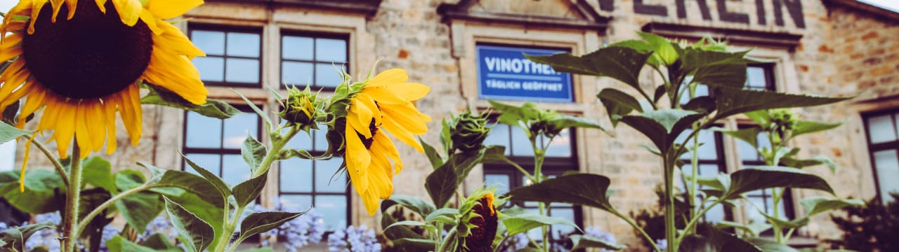 Winzerverein Deidesheim