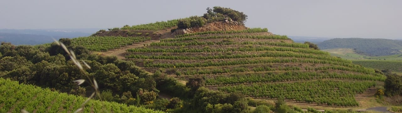 Domaine Cébène