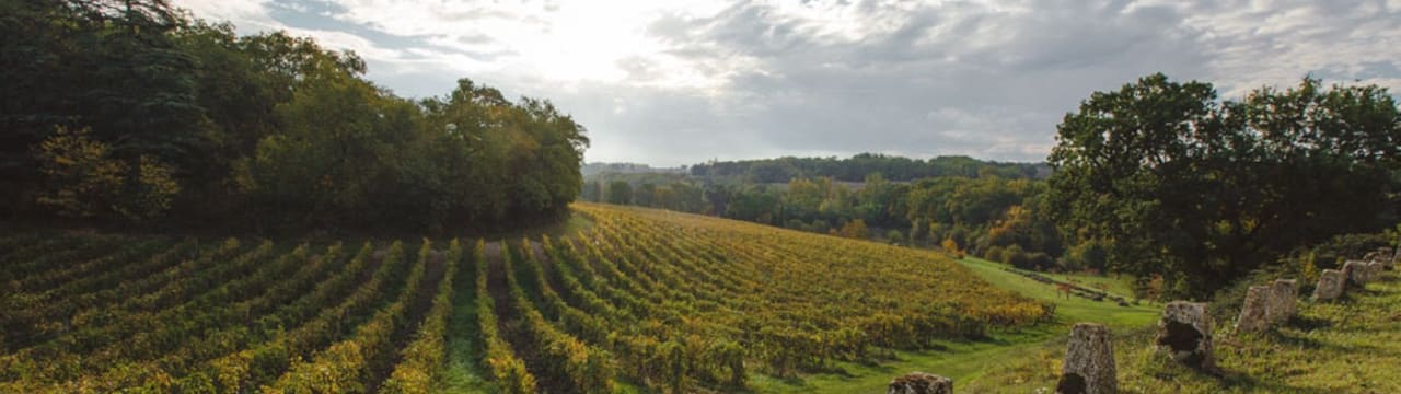 Château Arton
