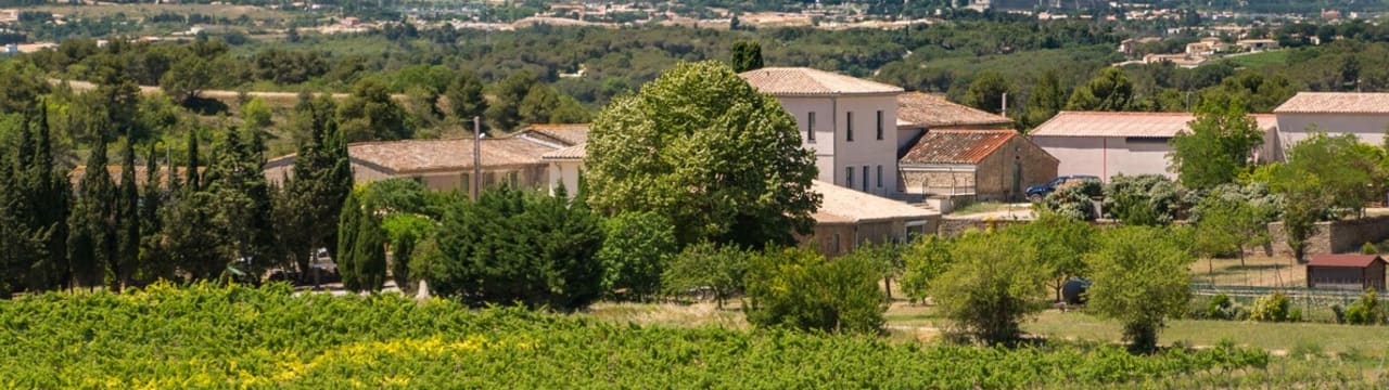 Domaine Villepeyroux Forest