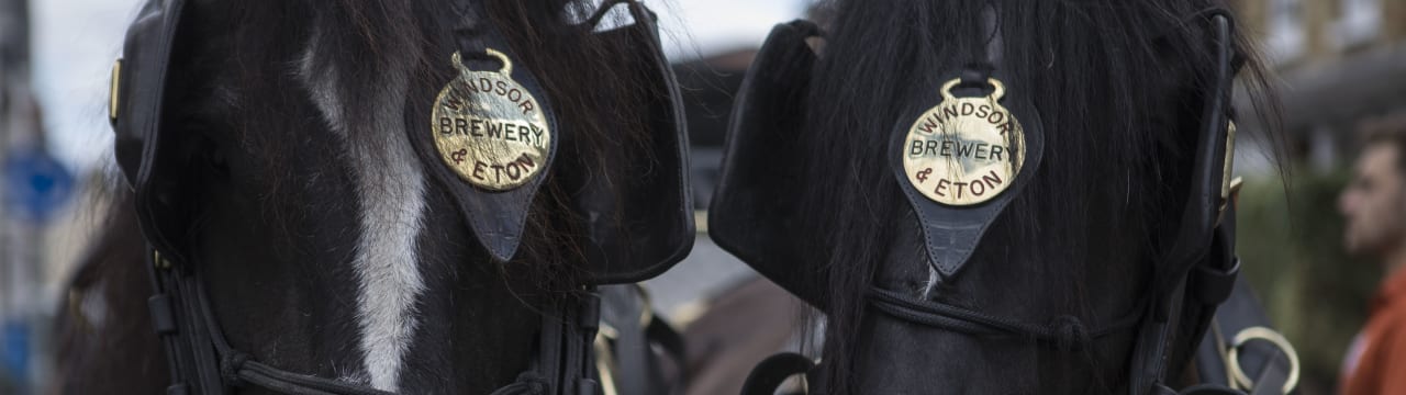 Windsor & Eton Brewery