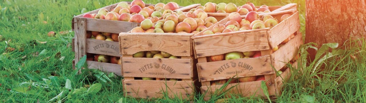 Tutts Clump Cider
