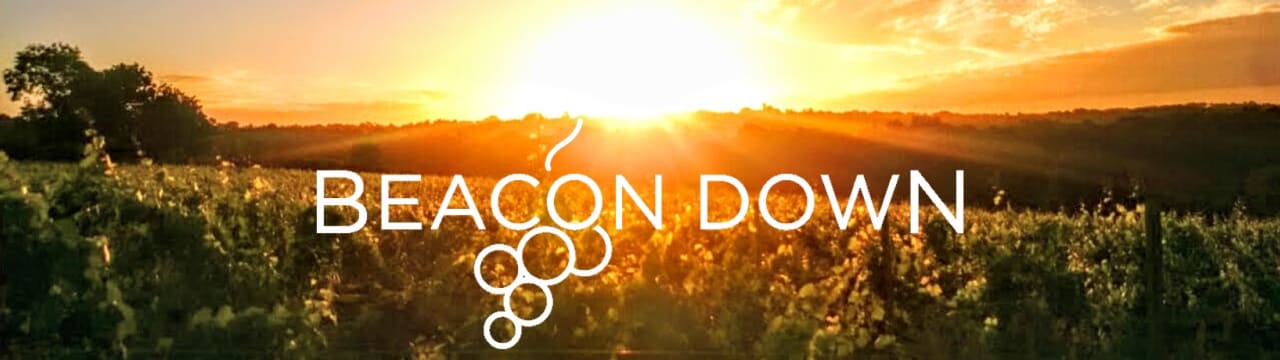 Beacon Down Vineyard