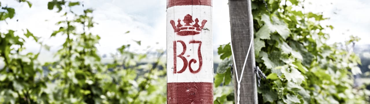 Geheimer Rat Dr. von Bassermann-Jordan GmbH