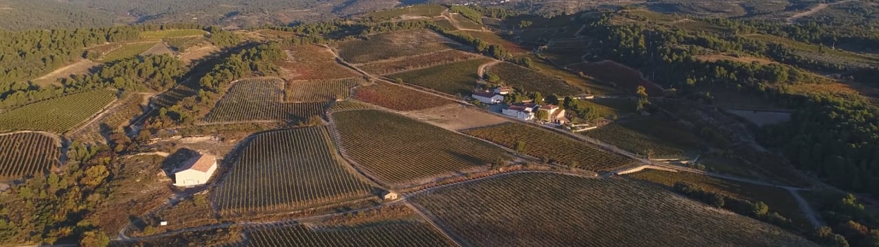 CHATEAU SAINTE EULALIE