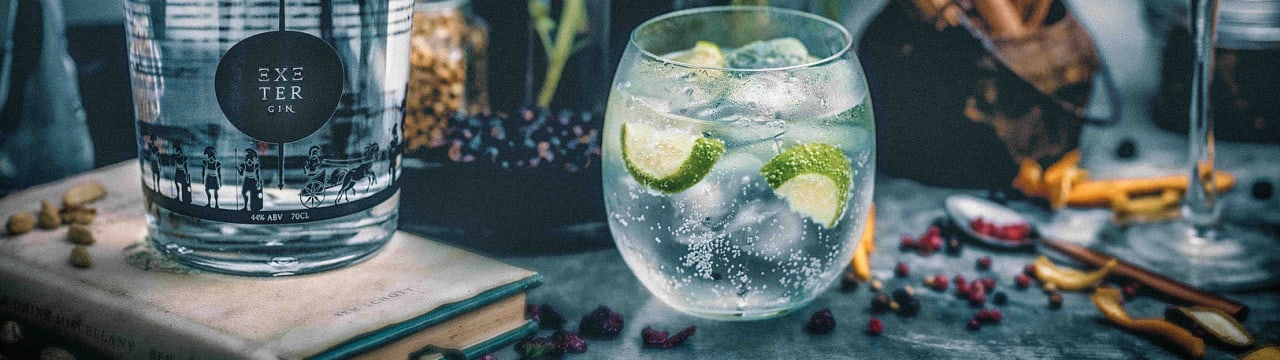Exeter Gin Ltd