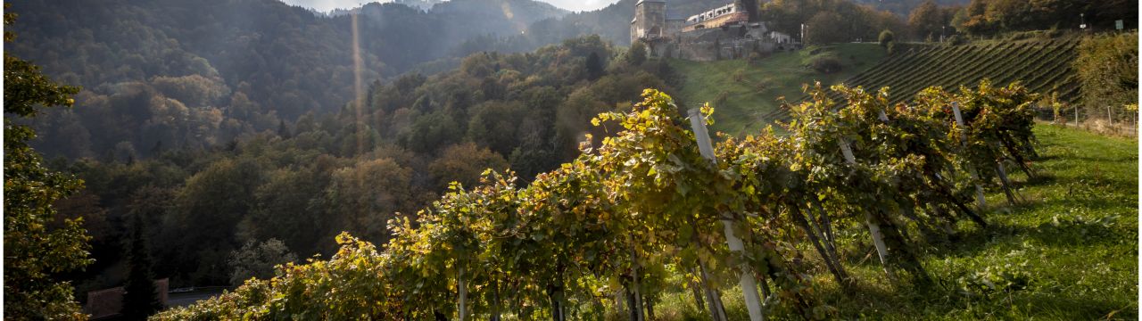 Domäne Müller Gutsverwaltung