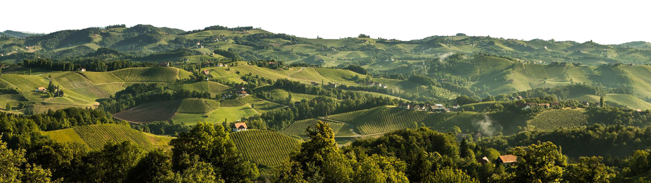 Wein-Steiermark-Winzer