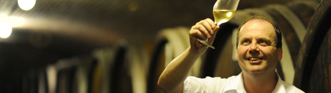 Golser Wein GmbH - Gaudium Vinum Galos