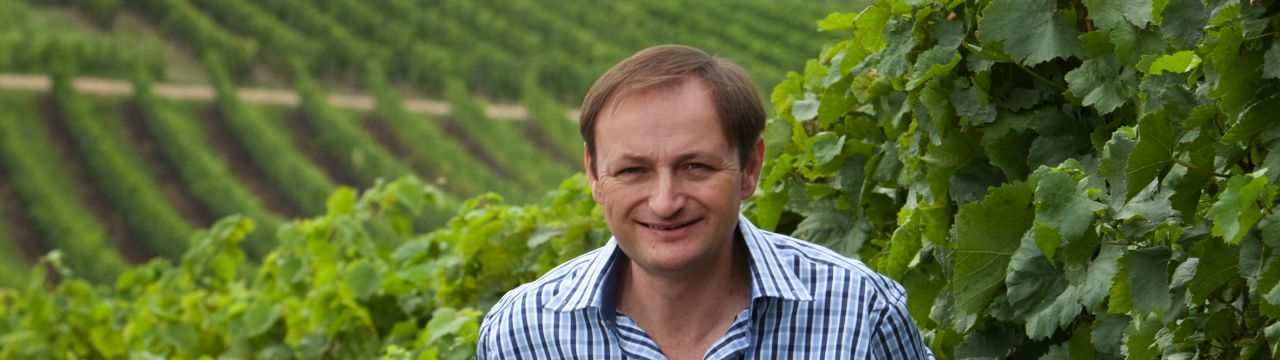 Weingut Herbert Böhm